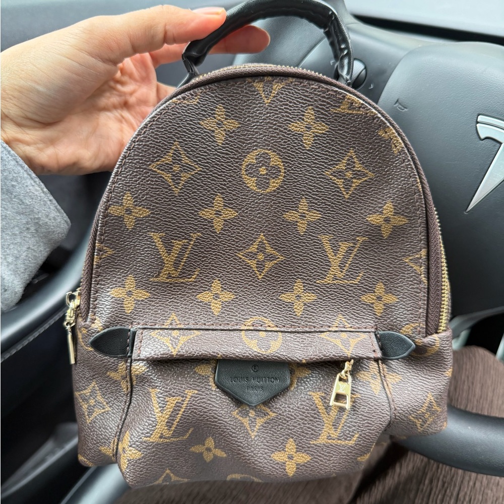 LV mini Palm Springs backpack